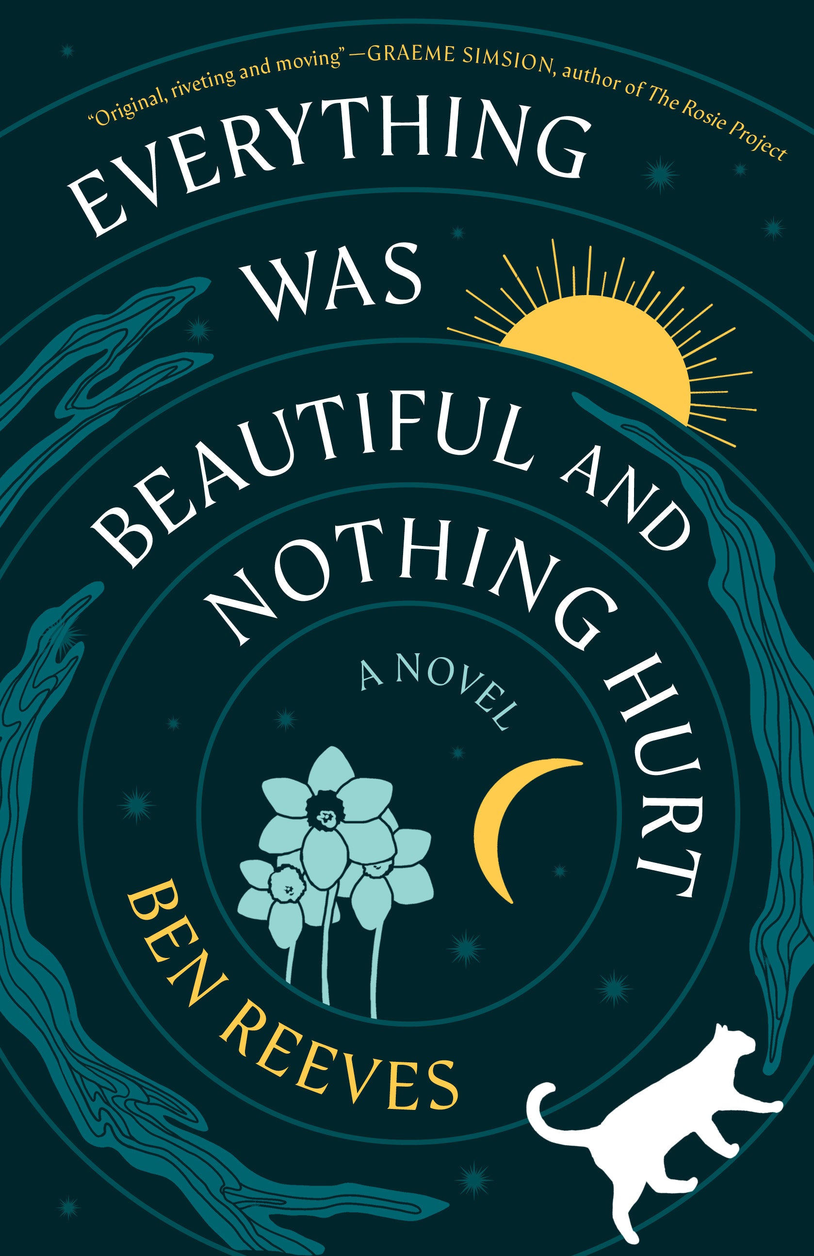 Everything was Beautiful and Nothing Hurt